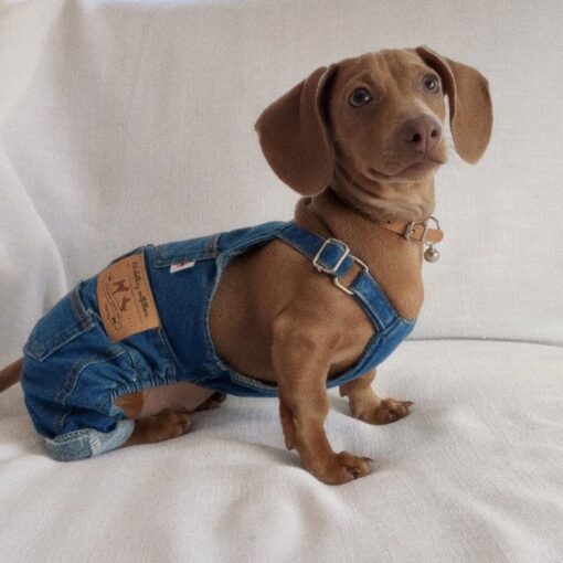 Sausage Denim™