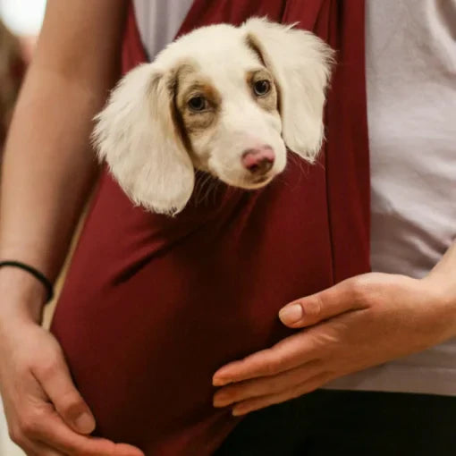 Pet Sling™